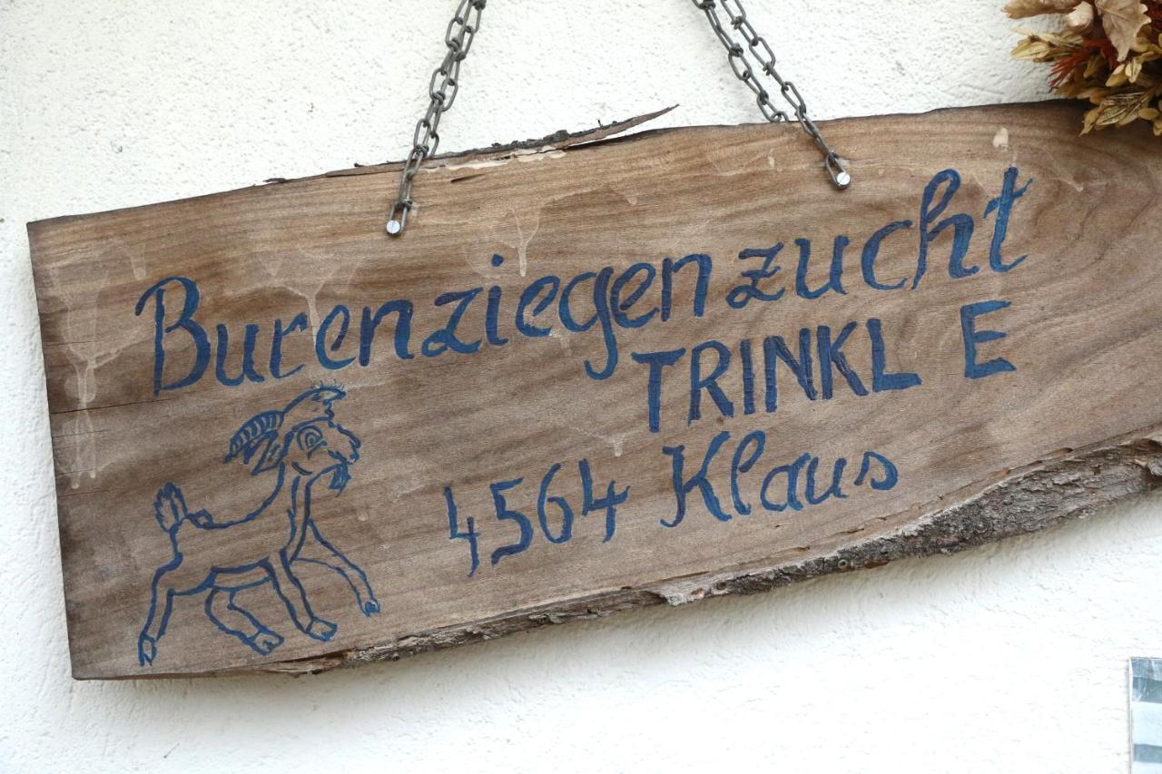 Micheldorf in Oberösterreich Hof Zur Steinwaend Bed & Breakfast エクステリア 写真