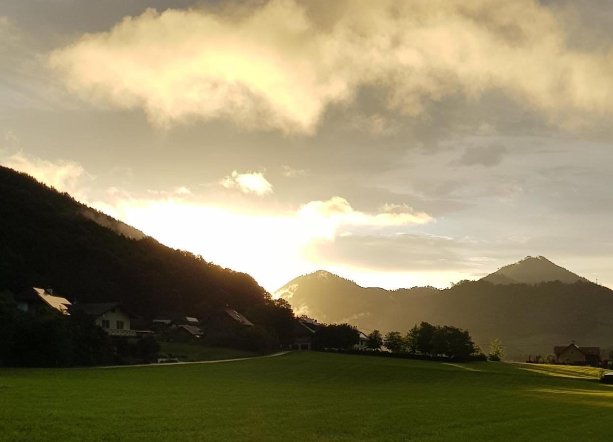 Micheldorf in Oberösterreich Hof Zur Steinwaend Bed & Breakfast エクステリア 写真
