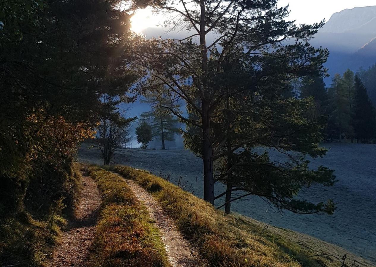 Micheldorf in Oberösterreich Hof Zur Steinwaend Bed & Breakfast エクステリア 写真