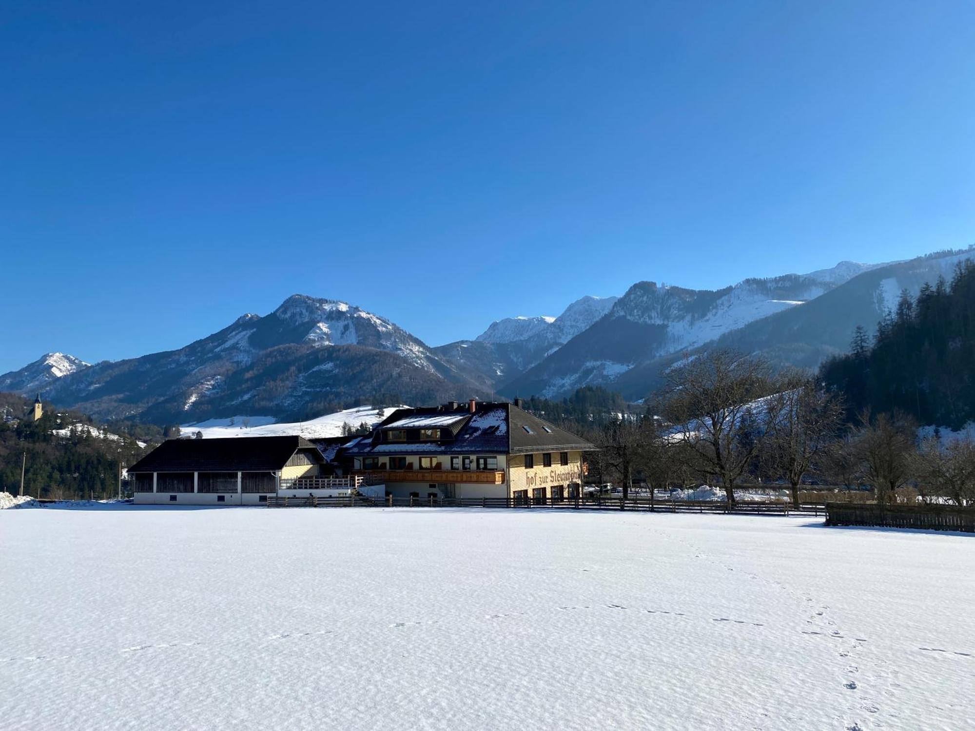 Micheldorf in Oberösterreich Hof Zur Steinwaend Bed & Breakfast エクステリア 写真